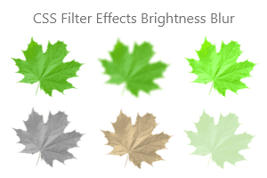 CSS Filter Effects