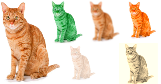 Css Image Filter Effects Css Brightness Contrast Effect Css Image Filter Effects Css Brightness Contrast Effect