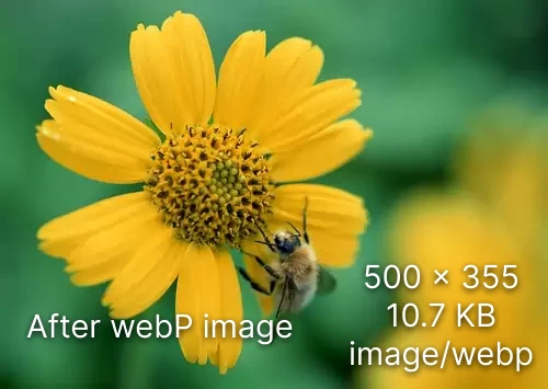 after webp image size 10.7KB