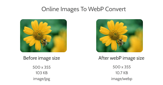 Free Online Image To WebP Converter - JPEG, PNG, GIF